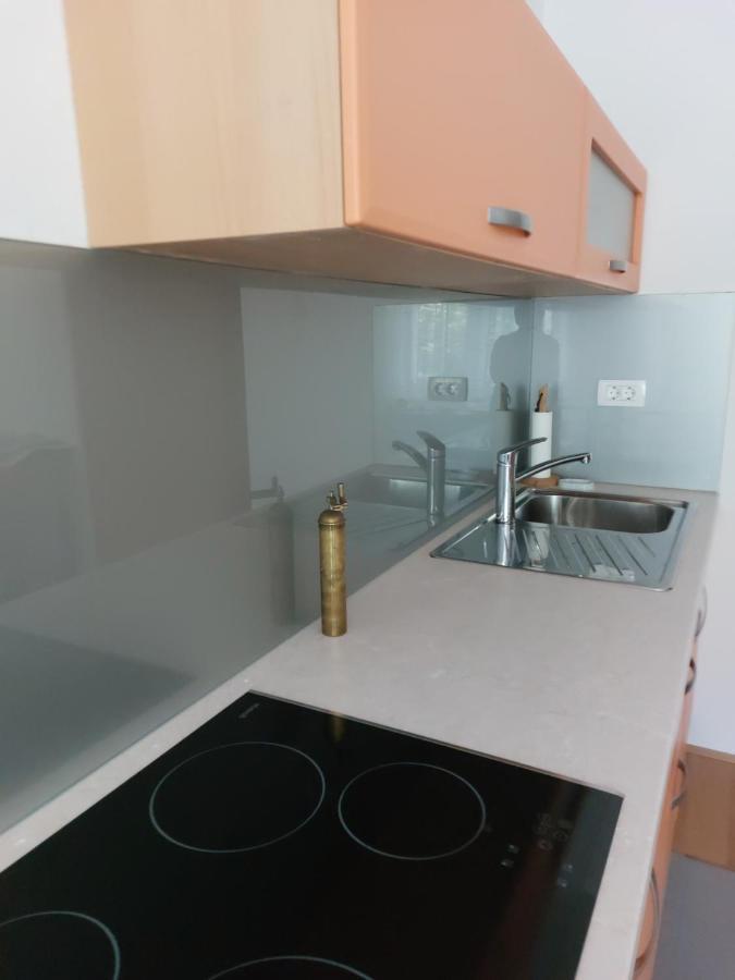 Apartma Sava-Stol Jesenice Eksteriør bilde