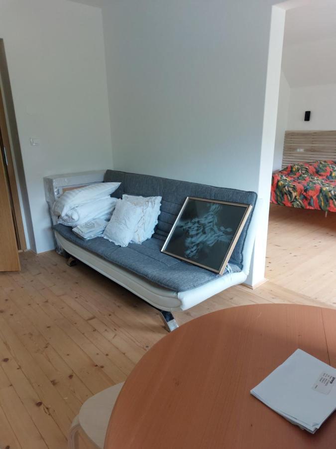 Apartma Sava-Stol Jesenice Eksteriør bilde
